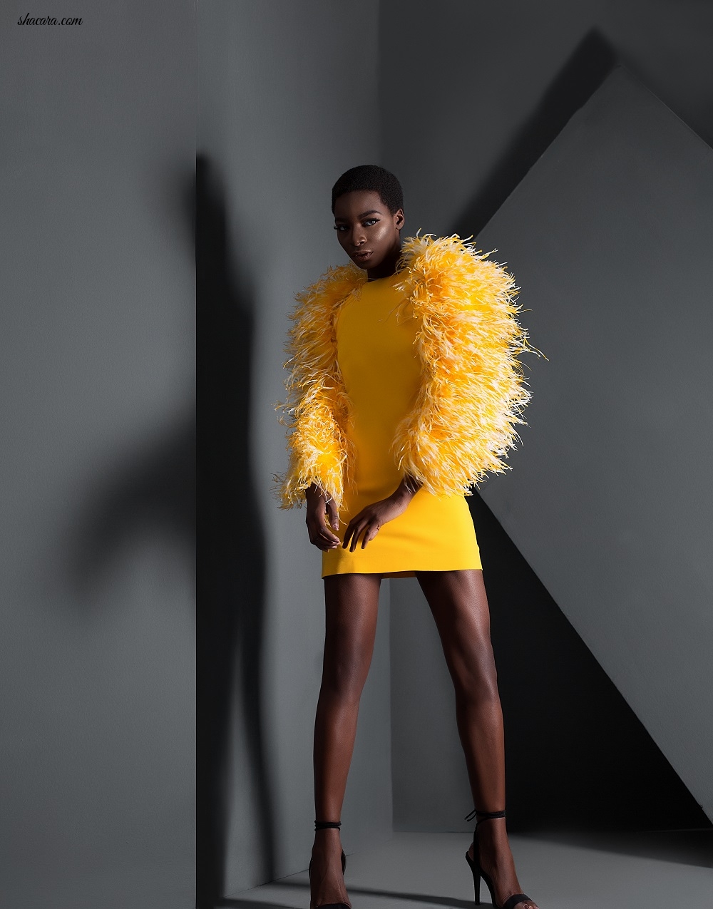 The Muse Factory Presents SS 2018 Collection – ‘Effervescence’