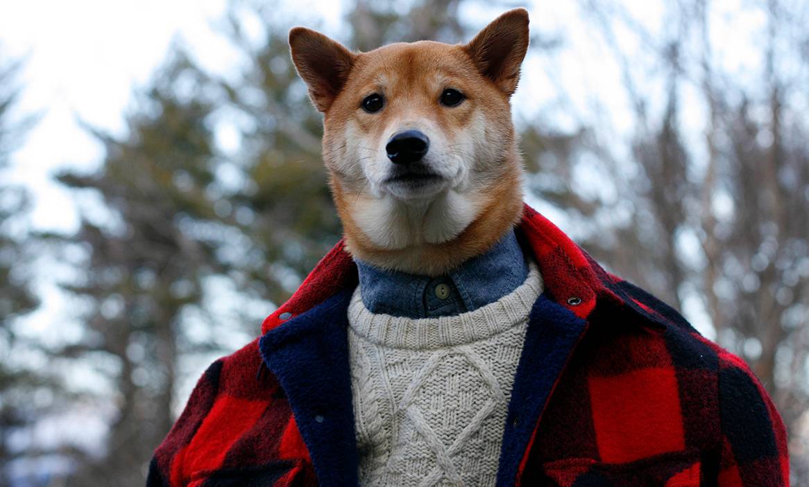 OMG, Male Models, This Dog Bodhi The Menswear Dog Is Making More Money Than You!