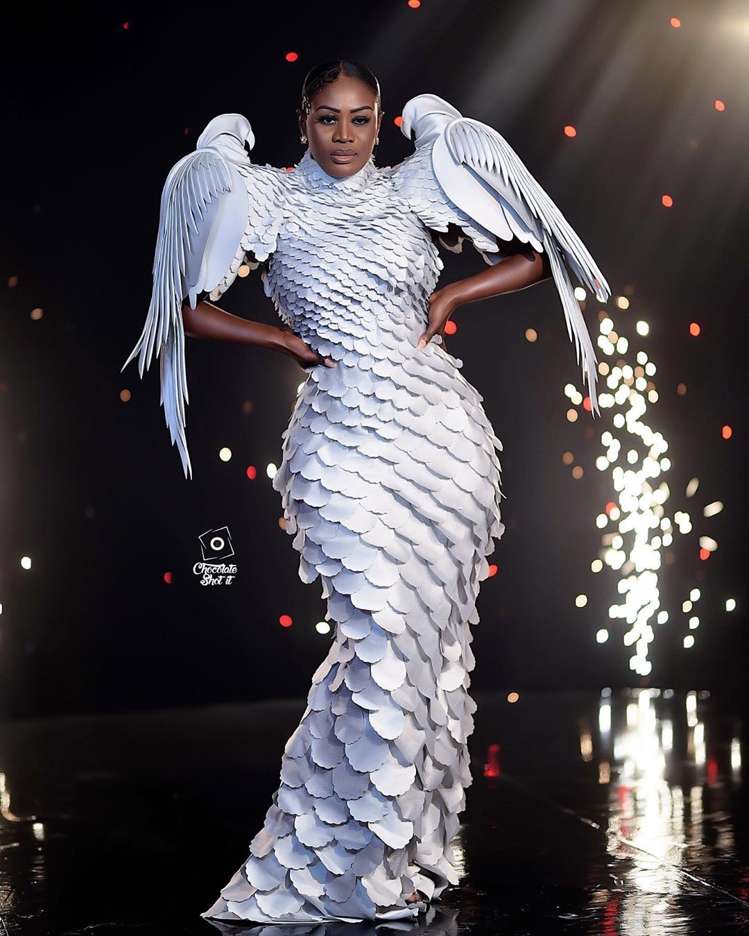 Here Is How Nana Akua Addo Broke The Net & Reminded Ghana She Is Still The Queen Of Red Carpet