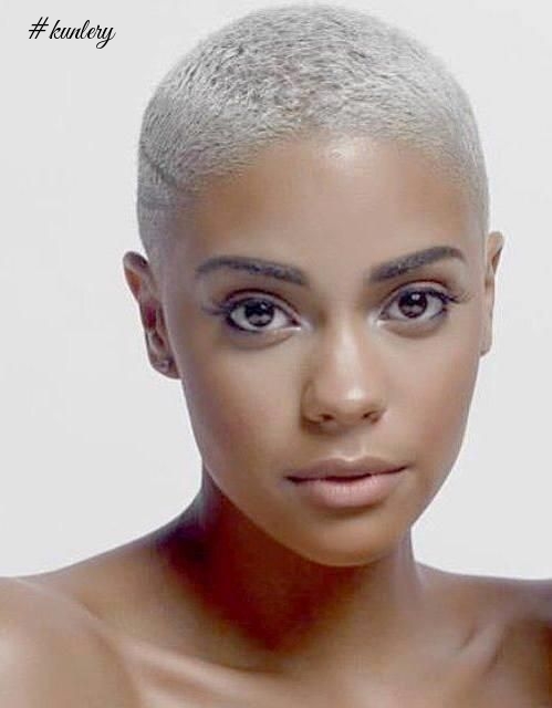 TrendAlert: Platinum Blonde Hair Becomes The Thing For Celebrities And  Instagram Daredevils